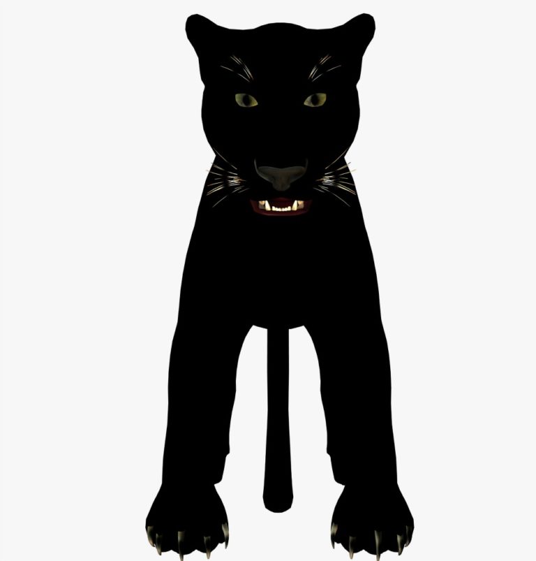 What Is My Spirit Animal: Some Ways to Find Out