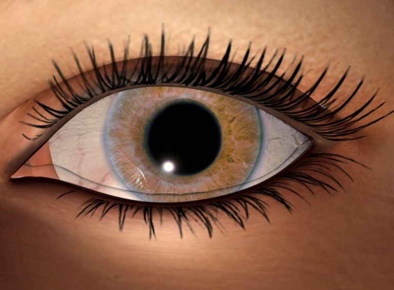 Recognize the Eyes? You May Have Shared a Past Life